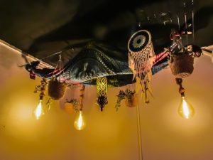 Cannabis Social Club Villamartin Torrevieja Orihuela Costa Costa Blanca