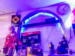 Cannabis Dispensary at Kings Grass Cannabis Social Club Puerto Del Carmen Lanzarote