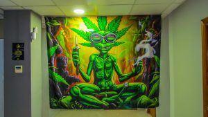 Green Moon Cannabis Social Club Alicante Artwork