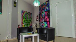Green Moon Cannabis Social Club Alicante Seating