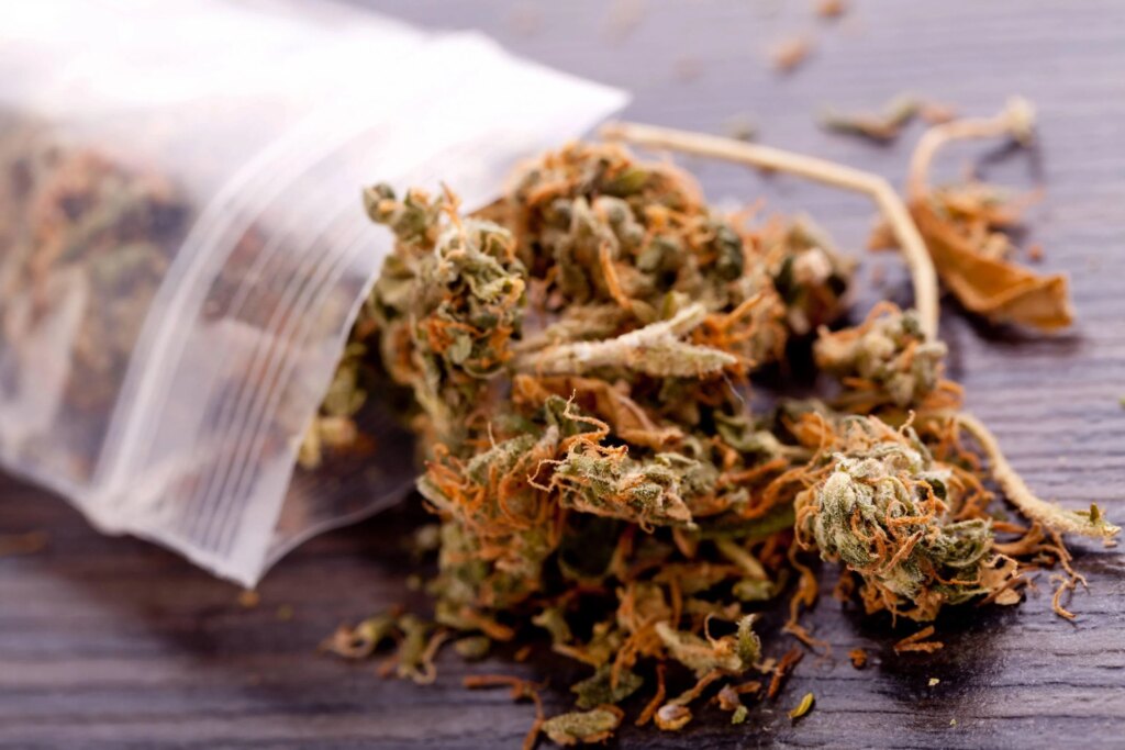 Clandestine cannabis club goes to pot on Spain’s Costa Blanca