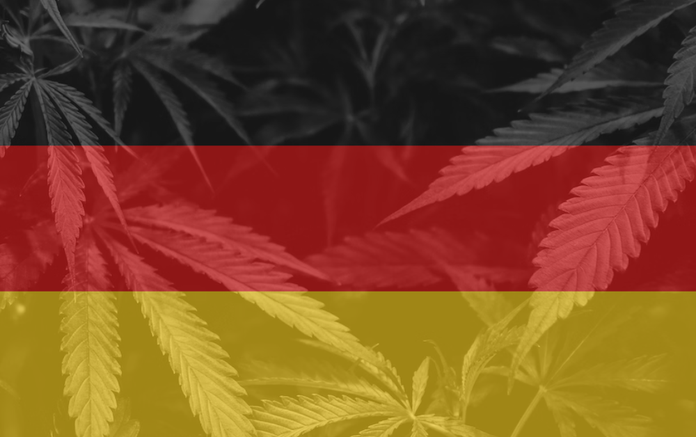 Germany Medical Cannabis Imports Top 200 Tonnes in 2025