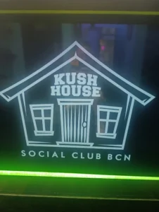 Kush House Cannabis Social Club Barcelona Neone Lighting
