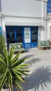 Dream Green Cannabis Social Club Puerto Del Carmen