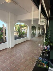 DG Green House Cannabis Social Club Puerto Del Carmen
