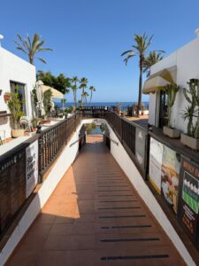 DG Green House Cannabis Social Club Puerto Del Carmen