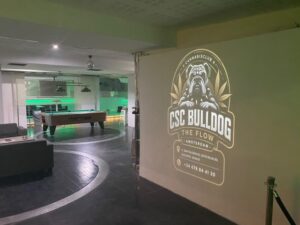 Bulldog The Flow 420 Cannabis Social Club Rojales - Photo 2