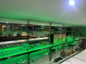 Bulldog The Flow 420 Cannabis Social Club Rojales - Photo 6