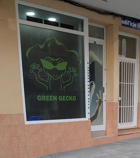 Green gecko tenerife gmb1