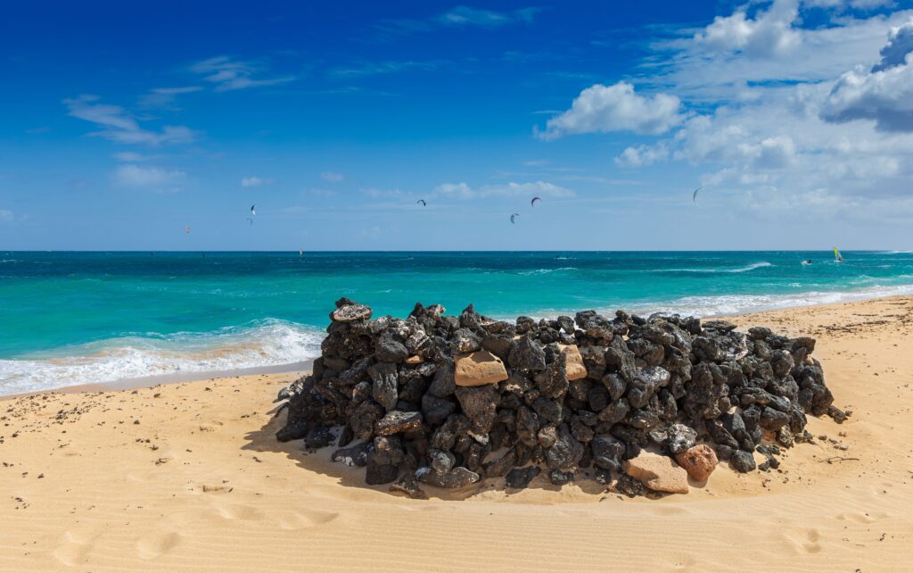 Fuerteventura Cannabis Social Clubs: The Corralejo Guide