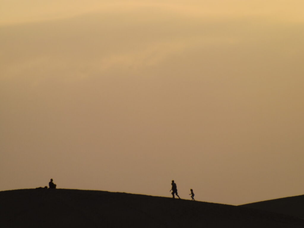 Cannabis Social Club Maspalomas: A Visitor’s Guide