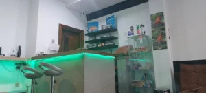 Counter and product display case at Perch CSC Cannabis Social Club Puerto Del Carmen